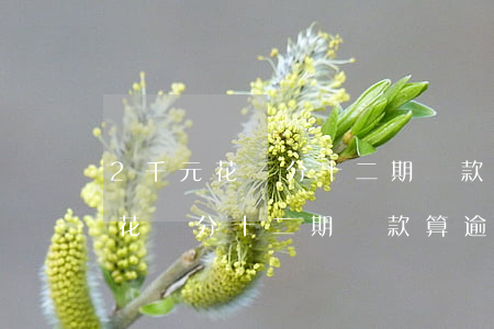 2千元花唄分十二期還款算逾期嗎-2千元花唄分十二期還款算逾期嗎
