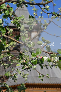 2女兒一個(gè)兒子離婚真實(shí)案例(有兩個(gè)女兒離婚了孩子怎么判)