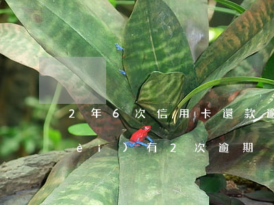 2年6次信用卡還款逾期(信用卡5年內(nèi)有2次逾期)