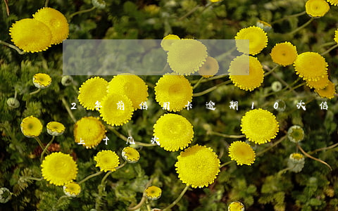 2年前信用卡逾期10次(信用卡逾期一次被上十几次)