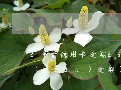 2年前信用卡逾期25塊(信用卡二十幾塊錢(qián)逾期了)