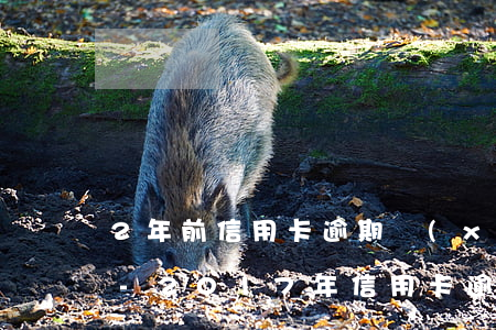 2年前信用卡逾期現(xiàn)在已還清-2017年信用卡逾期已經(jīng)還清了兩年后