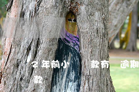 2年前小額貸款有過逾期(2年前有逾期能貸款嗎)