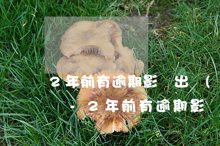 2年前有逾期影響出國(guó)工作簽證嗎-2年前有逾期影響出國(guó)工作簽證嗎怎么辦
