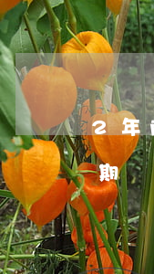 2年前的信用卡逾期記錄(2年前的信用卡逾期記錄怎么查)
