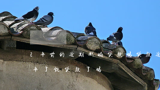 2年前的逾期影响贷款吗(贷款逾期款还了两年了能贷款了吗)