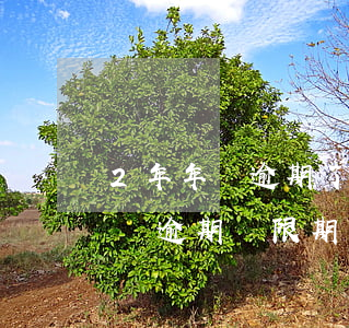 2年年檢逾期了怎么處理2020-2年年檢逾期寬限期是多久