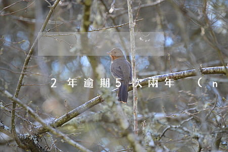2年逾期5次(兩年內(nèi)5次逾期)