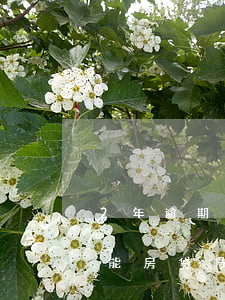2年逾期一次影响房贷吗(两年前多次逾期还能房贷吗)
