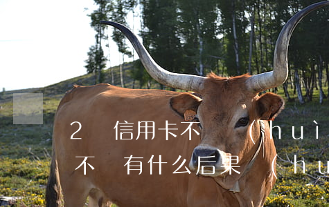 2張信用卡不還會(huì)坐牢嗎(信用卡不還有什么后果會(huì)坐牢)