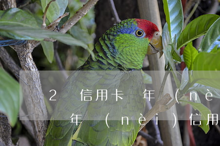 2張信用卡兩年內(nèi)分別逾期2次(兩年內(nèi)信用卡逾期5次)