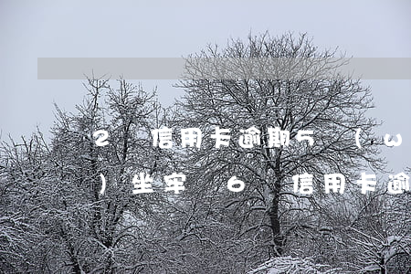 2張信用卡逾期5萬(wàn)會(huì)坐牢嗎 6張信用卡逾期會(huì)坐牢嗎
