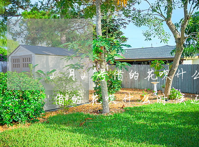 2月2号借的花呗什么时候还款-2月2号借的花呗什么时候还款呢
