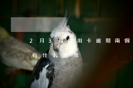 2月3月信用卡逾期(兩個月信用卡逾期不還有什么結果)