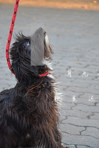 2月九号还花呗算逾期嘛(花呗每个月9号还款是还的上个月的还是到这个月9号的)