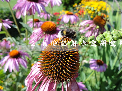 2月份信用卡逾期 逾期兩個月信用卡