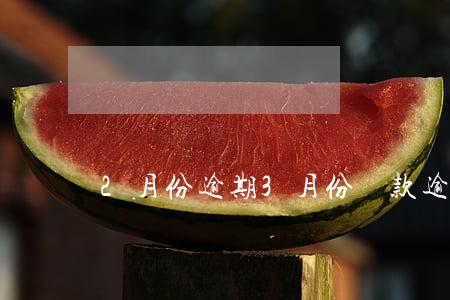 2月份逾期3月份還款(逾期2個(gè)月)