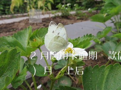 2月信用卡逾期還款(信用卡逾期2個(gè)月還上后)