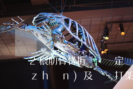 2根肋骨骨折傷殘鑒定標(biāo)準(zhǔn)及賠償(打架2根肋骨骨折傷殘鑒定標(biāo)準(zhǔn)及賠償)