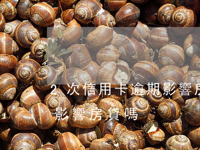 2次信用卡逾期影響房貸嗎(征信有2次逾期影響房貸嗎)
