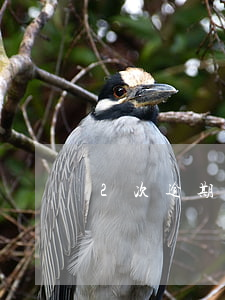2次逾期房貸-房貸逾期過兩次