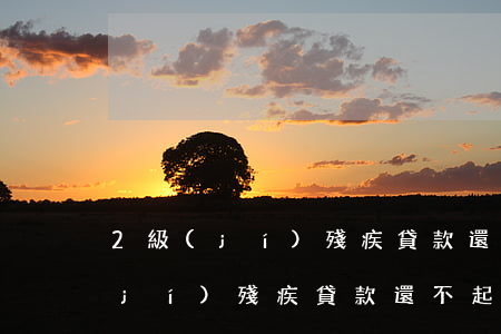 2級(jí)殘疾貸款還不起怎么辦（2級(jí)殘疾貸款還不起）