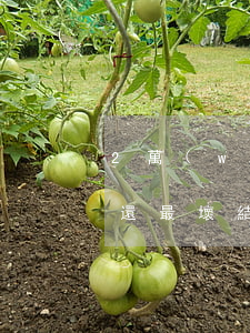 2萬(wàn)信用卡逾期無(wú)力償還最壞結(jié)果