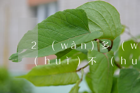2萬(wàn)多網(wǎng)貸逾期會(huì)不會(huì)被起訴-2萬(wàn)多網(wǎng)貸逾期會(huì)不會(huì)被起訴
