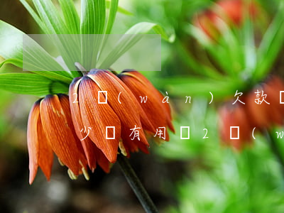 2萬(wàn)欠款請(qǐng)律師多少錢有用嗎(2萬(wàn)塊欠款律師費(fèi)多少)