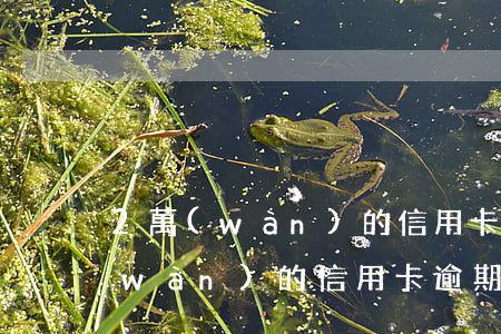 2萬(wàn)的信用卡逾期10天(2萬(wàn)的信用卡逾期10天)