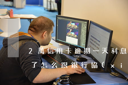 2萬信用卡逾期一天利息多少-信用卡逾期了怎么跟銀行協(xié)商解決