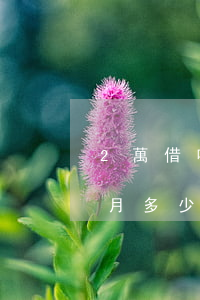 2萬借唄逾期1年利息多少(兩萬借唄逾期一月多少費用)