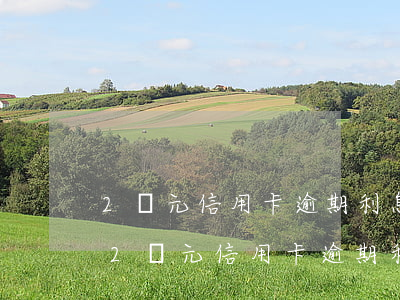 2萬元信用卡逾期利息和違約金一年多少-2萬元信用卡逾期利息和違約金一年多少合適