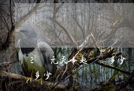 2萬元民事起訴費多少錢(2萬元民事起訴費多少錢)
