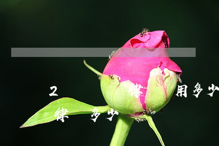 2萬塊錢請律師費用多少(兩萬塊錢的官司請律師多少錢)