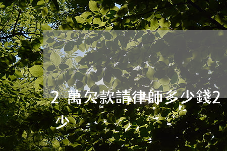 2萬欠款請律師多少錢(2萬塊欠款律師費多少)