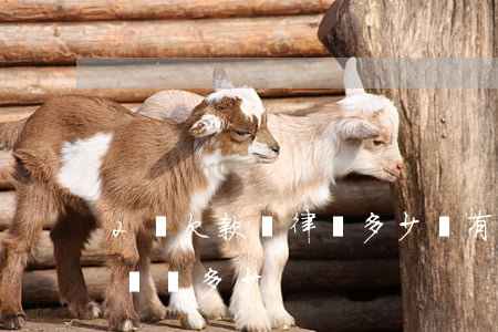 2萬欠款請律師多少錢有用嗎(2萬塊欠款律師費多少)