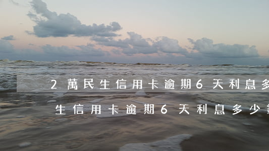 2萬民生信用卡逾期6天利息多少-2萬民生信用卡逾期6天利息多少錢