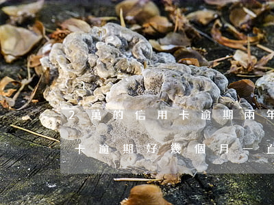 2萬的信用卡逾期兩年要還多少 兩萬的信用卡逾期好幾個月一直沒還嚴(yán)重嗎