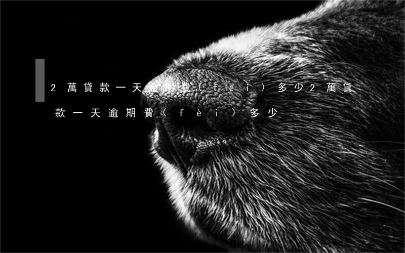2萬貸款一天逾期費(fèi)多少(2萬貸款一天逾期費(fèi)多少)