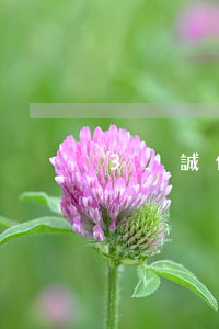 3.誠信標志使用協(xié)議書