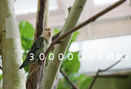 30000信用卡利息(3萬信用卡利息)