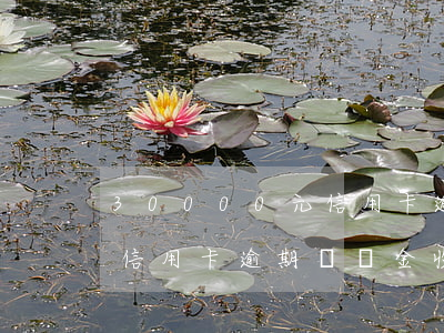 30000元信用卡逾期滯納金一天怎么算（信用卡逾期滯納金收多少個(gè)月）