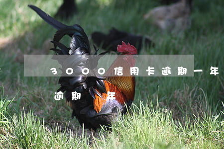 3000信用卡逾期一年(3000的信用卡逾期兩年)