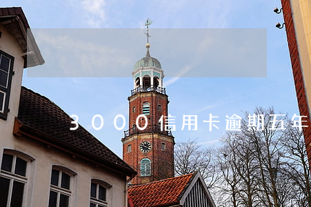 3000信用卡逾期五年該還多少