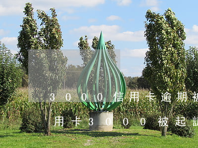 3000信用卡逾期被起訴了怎么辦(拖欠信用卡3000被起訴了怎么辦)