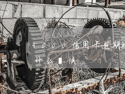 3000信用卡逾期被銷戶(上海這雨要下到什么時候)