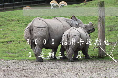 3000信用卡逾期起訴嗎(欠信用卡3000逾期三個月)