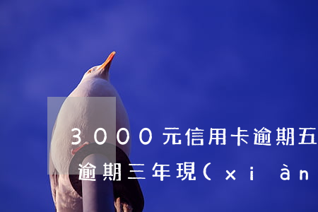 3000元信用卡逾期五年(信用卡5000逾期三年現(xiàn)在還多少)