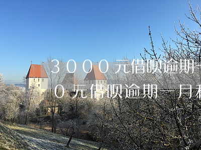 3000元借呗逾期一月利息多少-3000元借呗逾期一月利息多少钱